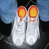 Puma Cells custard